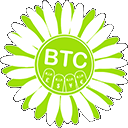BTC Flower